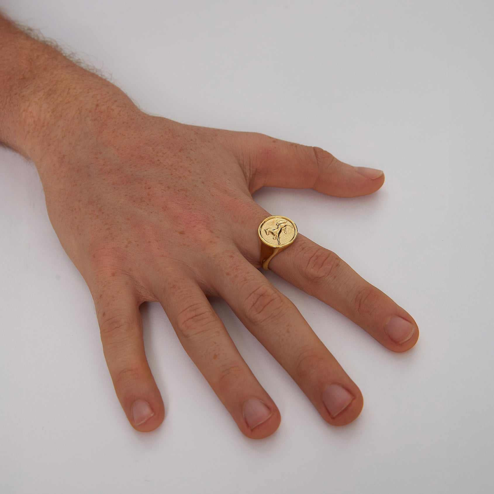 S26® Horse Ring