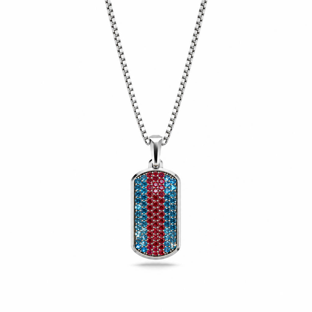 Moissanite Small Frame Pavé Tag Silver Necklace